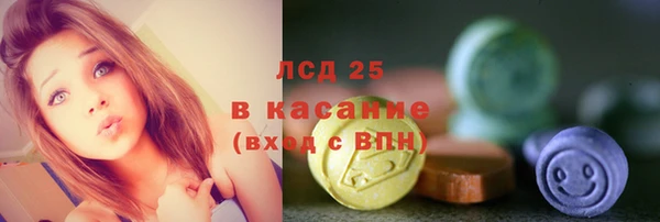 сатива Аркадак