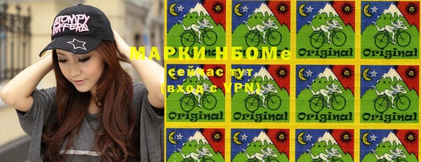 сатива Аркадак