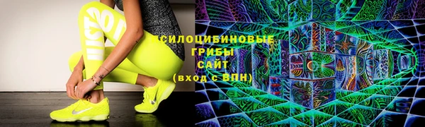 прущая мука Арсеньев